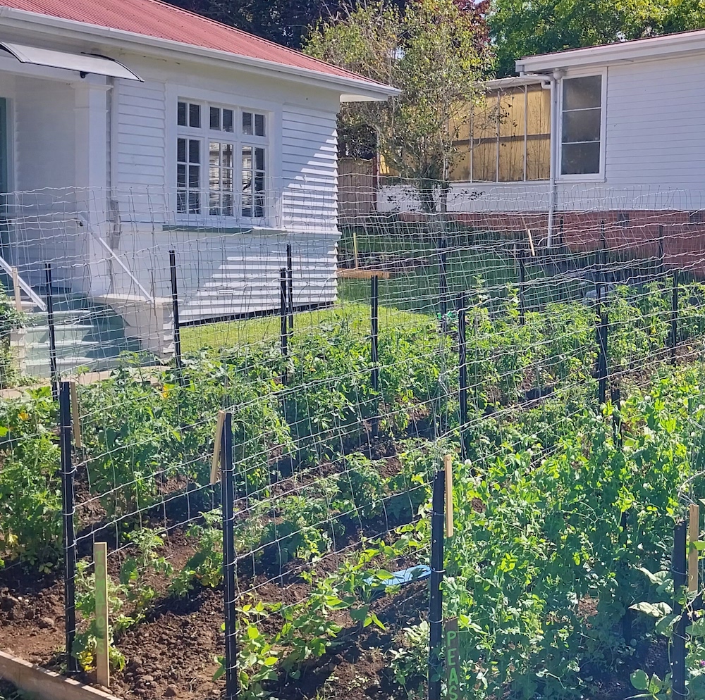 Kai Grow Vegetable Gardens